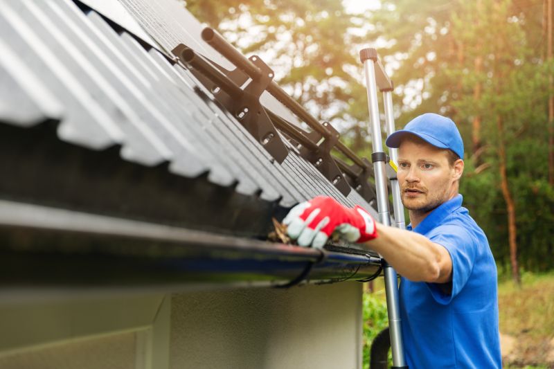 Cleaning a Residential Gutter