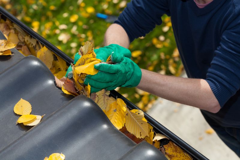 Gutter Maintenance in Fall